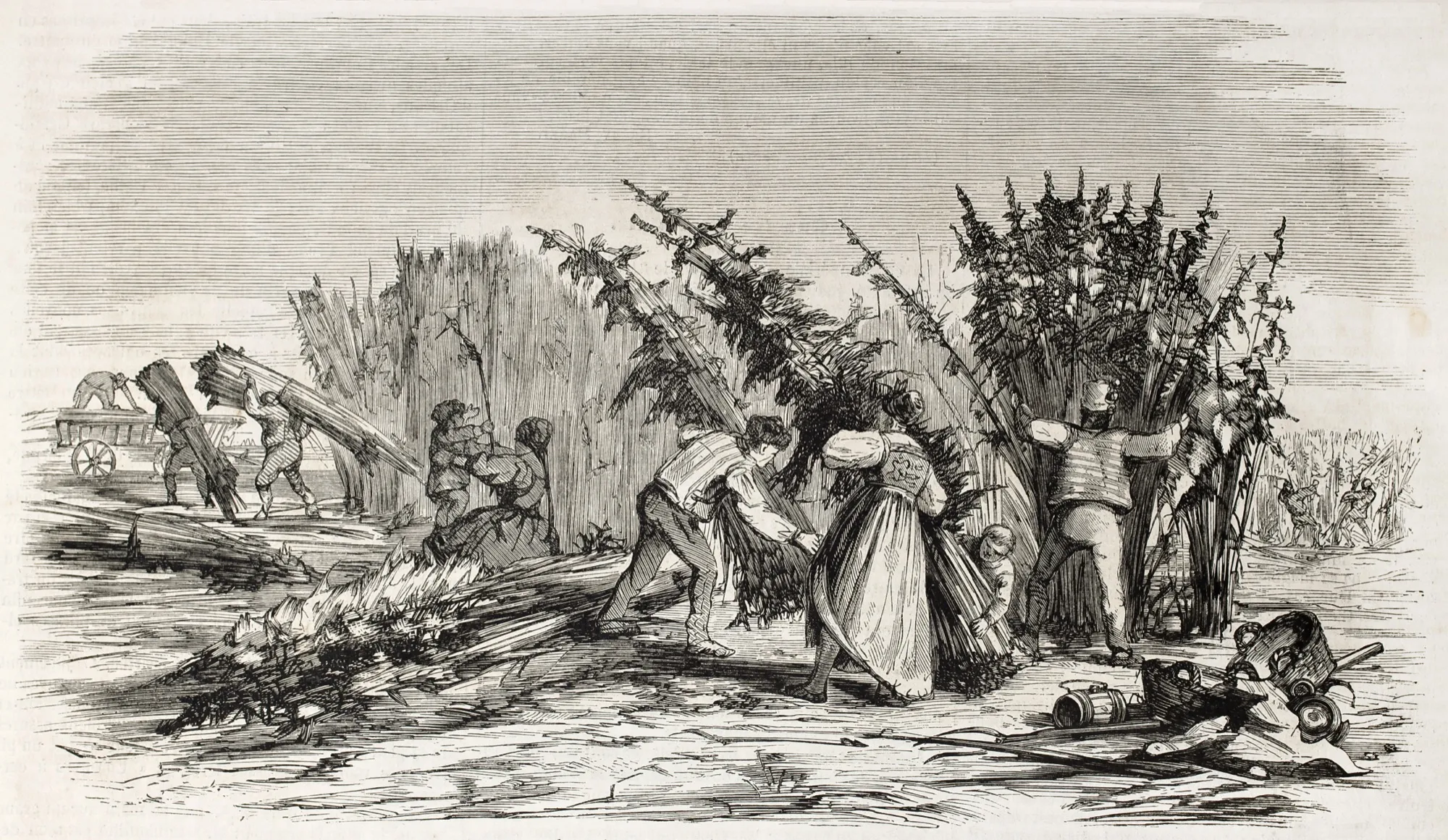Engraving of workers harvesting and bundling tall hemp stalks