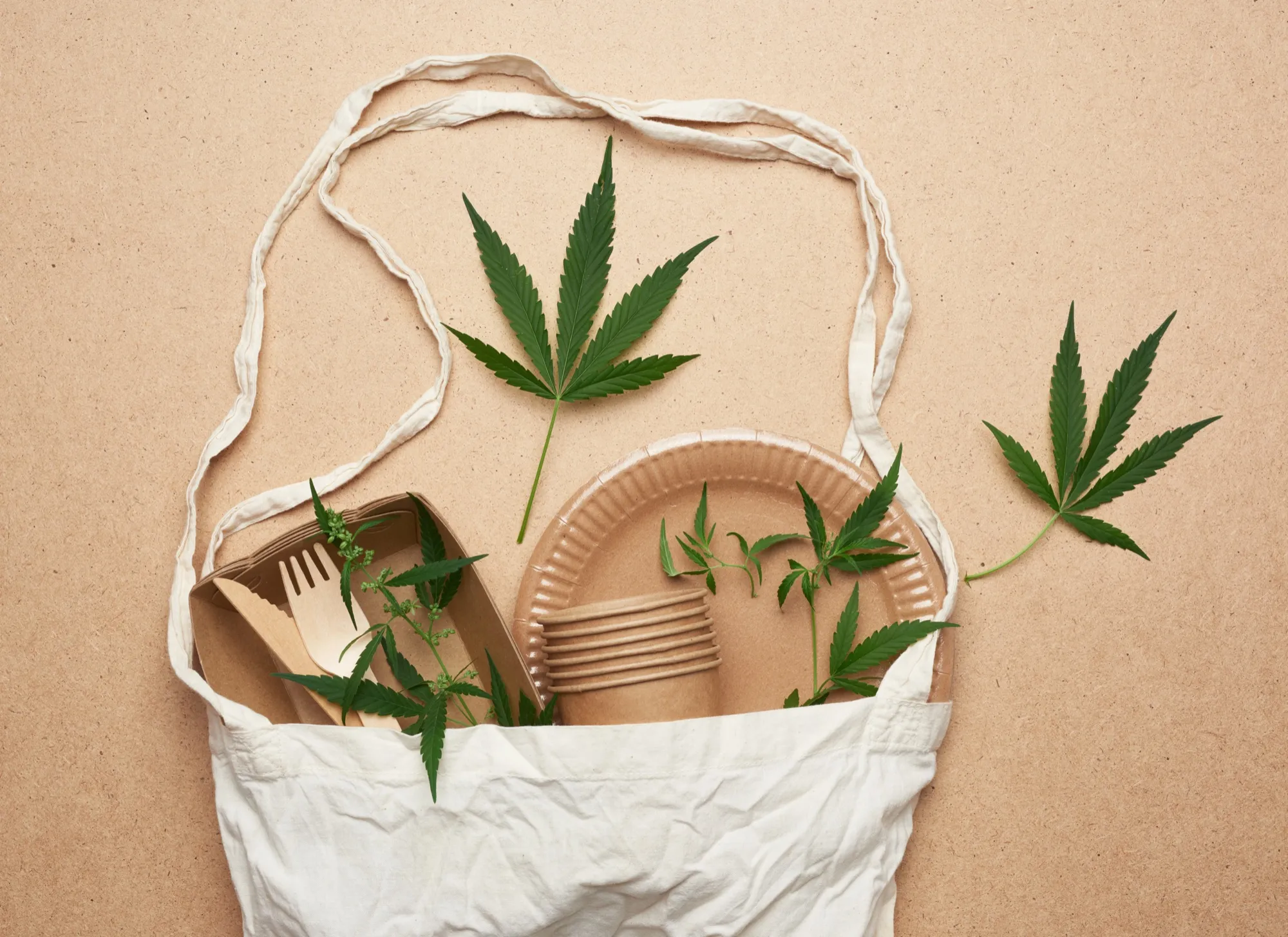 Hemp tote bag holding plates, cutlery, and hemp leaves