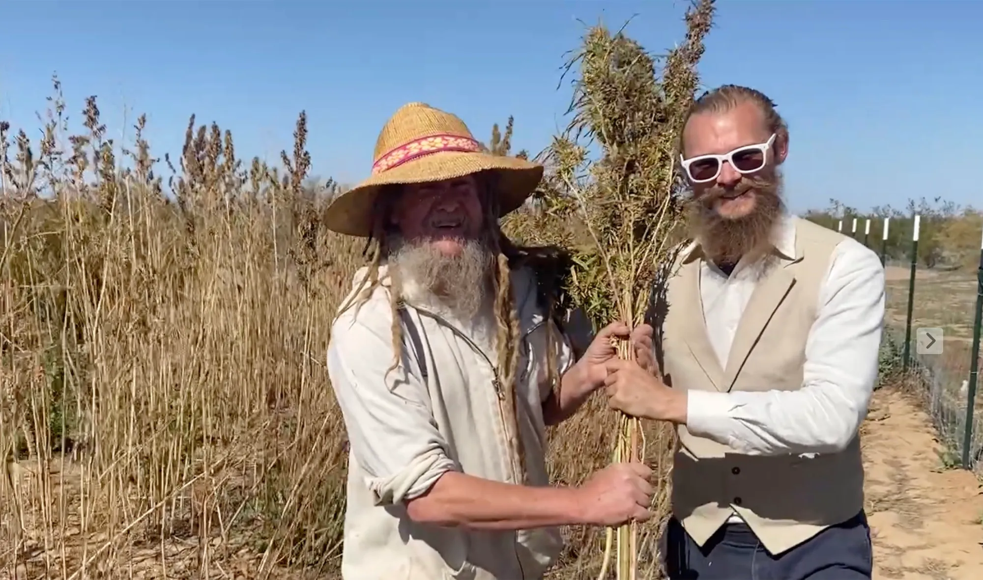 Tyler Hemp and hemp farmer Denny holding tall hemp stalks in a field in Tucson, Arizona